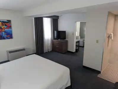 Best Western Plus Toronto Airport - 58