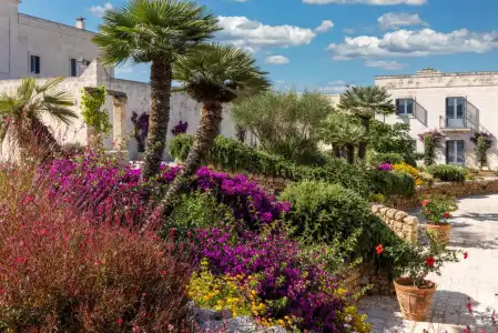 Masseria San Domenico - 37