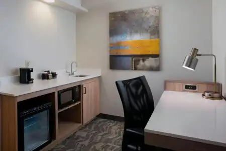 SpringHill Suites by Marriott New Orleans Warehouse Arts District - 19