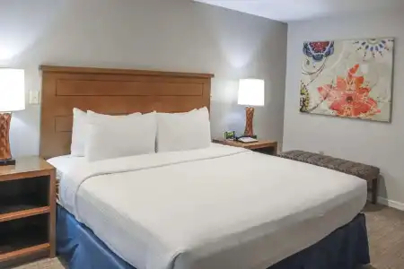 Polynesian Isles Resort By Diamond Resorts - 78