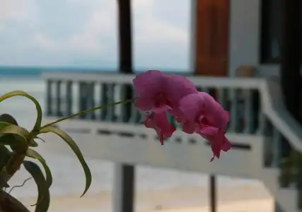 Sunsea Resort - 10