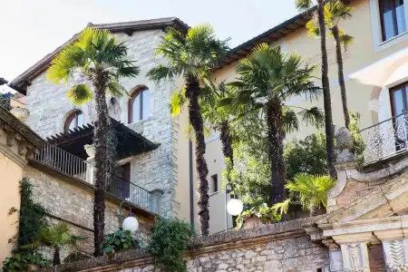 Fonte Cesia - 81