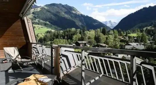 Park Gstaad - 32