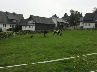 Landgasthof Gilsbach - 16