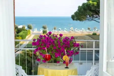 Palm Beach - 11