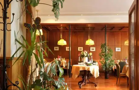 Baudobriga Rheinhotel - 8