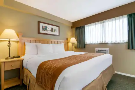 Econo Lodge Inn & Suites - 5
