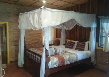 Orchid Hibiscus Guest House - 3