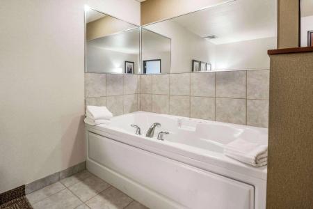 Comfort Suites at Par 4 Resort - 8