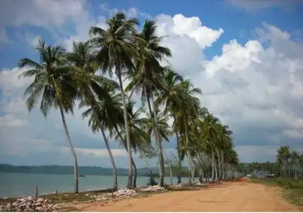 The Tamarind - 18