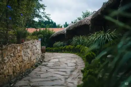 Sapa Jade Hill Resort & Spa - 104