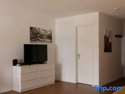 Grichting & Serviced Apartments - 57