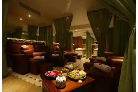 The Palmy and Spa - 9