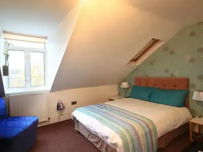 Primrose Guest House - 3