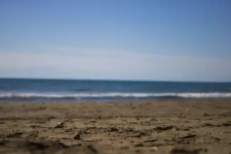 Kalia Beach Side - 25