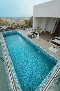 Flamingo Malta - 10