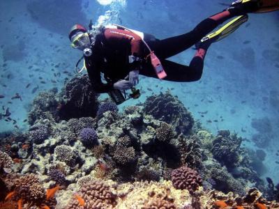 SUNRISE Holidays Resort (Adults Only) - 21