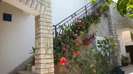 Apartments Vojin - 161