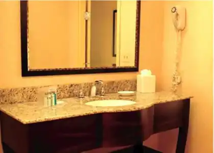 Hampton Inn & Suites Bradenton Downtown Historic District - 20