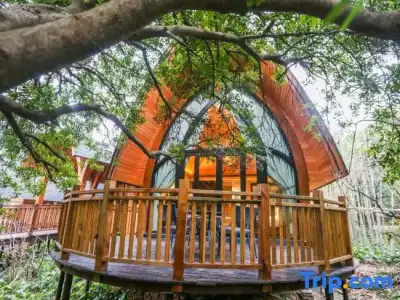 SENBO Nature Park and Resort - 101