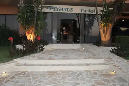 Pegasus - 1