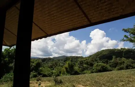 Bambuh Boutique Homestay - 62