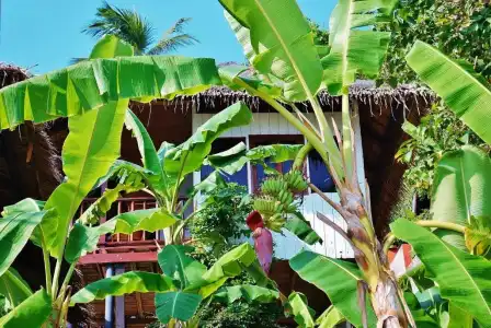 Lamai Bayview Boutique Resort - 76
