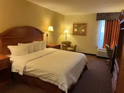 Orlando Palms - 37