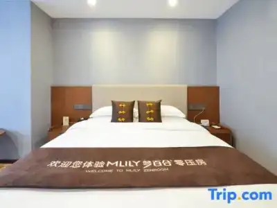 Wanyou Conifer Chongqing - 23