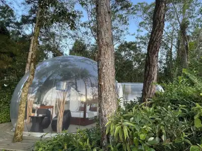 Bubble Lodge Bois Chéri Plantation - 20
