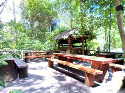 Khao Sok Tree House - 16