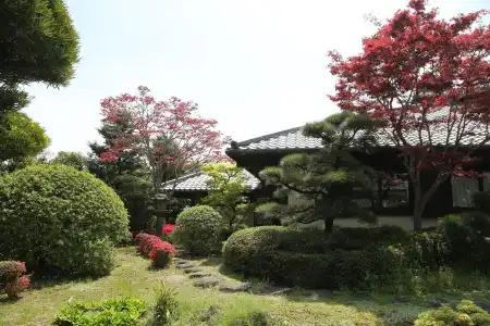 Pine Villa - 13