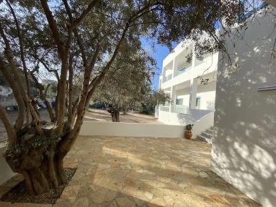 Oasis Beach - 82