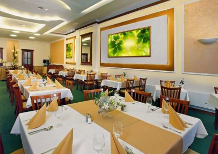 Spa & Wellness Olympia Marienbad - 24