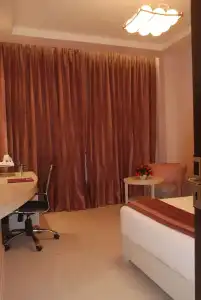 Sarovar Portico Naraina Delhi - 67