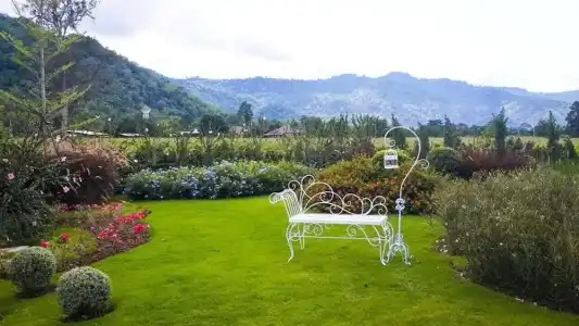 The Focus Khaoyai Resort - 31