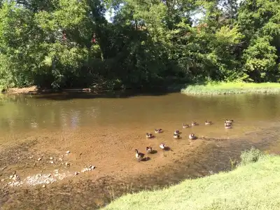 Pigeon River Inn - 21