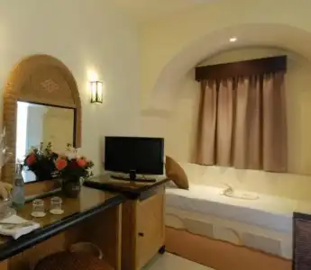 Green Palm - 1