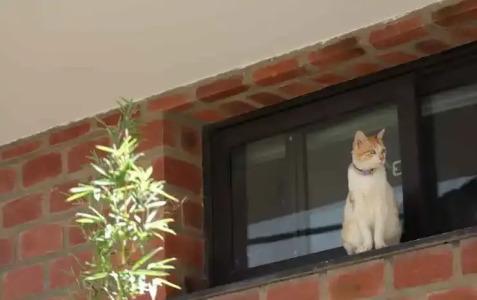 Hoang Loc Villa - 13