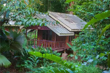 Khao Sok Riverside Cottage - 123