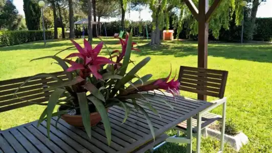 Riva Etrusca - 0