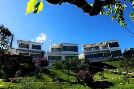 An Garden - 0