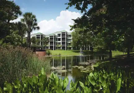 Marriott's Royal Palms - 19