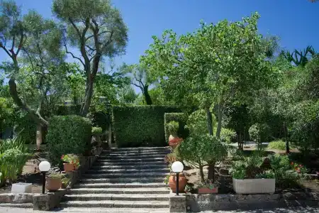 Mas Djoliba - 22