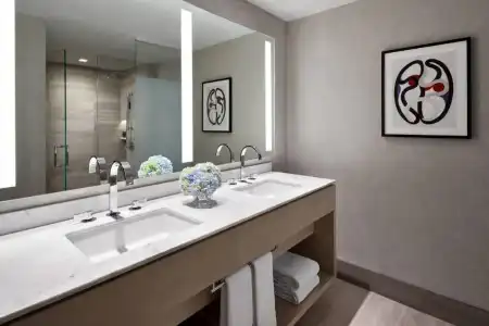 The Ritz-Carlton, Chicago - 23