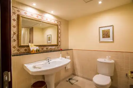 Grand Excelsior - 8