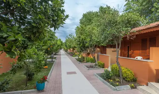 Ozlem Garden - All Inclusive - 19