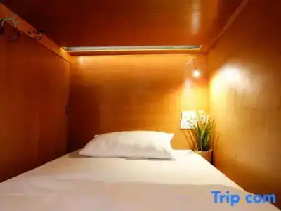 Tropical Summer Hostel - 42
