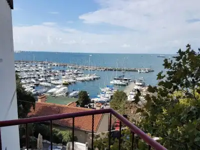 Mignon - 18