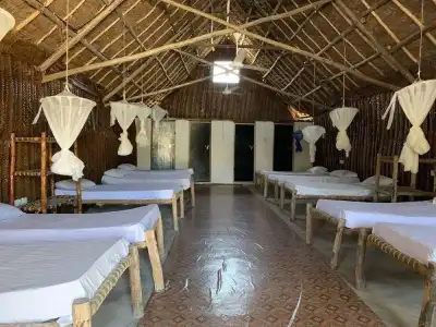 New Jambo Bungalows - Hostel - 28